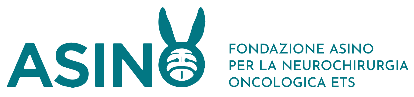 Fondazione ASINO — indice della guida